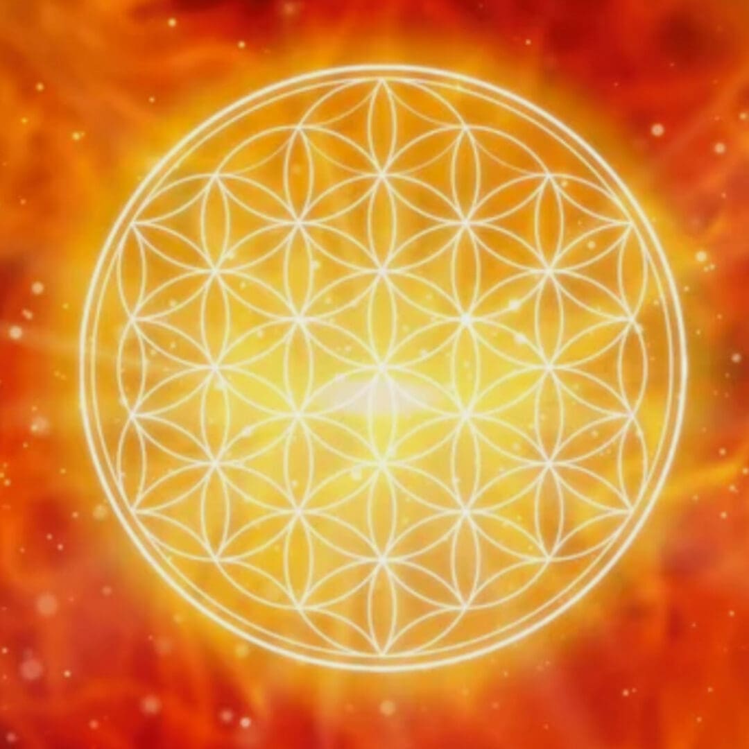 A flower of life is shown in front of the sun.